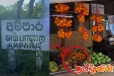 அம்பாறையில் பழுதடைந்த பழ விற்பனை அதிகரிப்பு!
