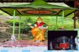 அம்மன் கோவில் வளாகத்தில் புத்தர் சிலை வைக்க முயற்சி ; நள்ளிரவில் அரங்கேறிய சம்பவம்