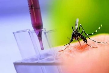 தீவிரமடையும் டெங்கு பாதிப்பு! சிறப்பு நுளம்புக்களை உற்பத்தி செய்யும் சிங்கப்பூர்