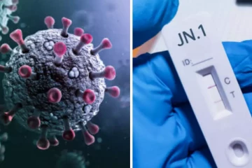 பீதியை கிளப்பும் JN1 கொரோனா வைரஸ்; அறிகுறிகள் இவை தான்