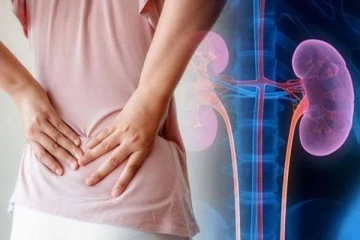 கிட்னி பிரச்சினை தடுக்க  வேண்டுமா? கட்டாயம் இந்த உணவுகளை எடுத்துகொள்ளுங்கள்!