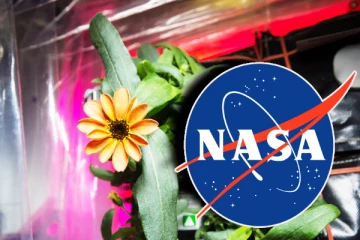 செவ்வாய் கிரகத்தில் பயிர்செய்கை செய்வதற்கான அடித்தளம்! வெற்றி கண்ட நாசா