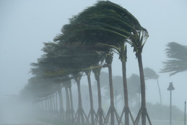 தீவிர காற்றழுத்த தாழ்வு நிலை! வடக்கு - கிழக்கு மக்களுக்கு வெளியான முக்கிய எச்சரிக்கை.. | Weather Forecast Sri Lanka Today