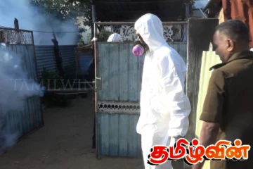 மட்டக்களப்பு - சித்தாண்டியில் டெங்கு நுளம்பின் தாக்கம் அதிகரிப்பு