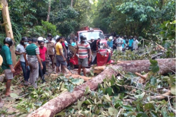 හොරගසක අත්තක් කඩා වැටී සිදුවූ බිහිසුණු අනතුර මෙන්න.(PHOTOS)