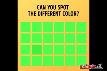 Optical Illusion Eye Test: கண்களை சுத்தப்படுத்துங்கள்...இதில் வித்தியாசமான நிறம் எது?