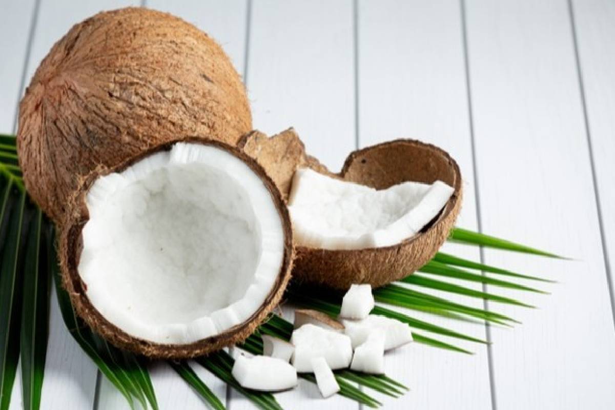 வரலாறு காணாத உயர்வை எட்டிய இலங்கையின் தேங்காய் ஏற்றுமதி | Sri Lanka Coconut Export Earnings Hit Record High வரலாறு காணாத உயர்வை எட்டிய இலங்கையின் தேங்காய் ஏற்றுமதி | Sri Lanka Coconut Export Earnings Hit Record High