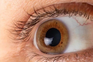 கண் இமைகளில் முடி அடர்த்தியாக வளரவேண்டுமா? இதோ அசத்தலான சில டிப்ஸ்