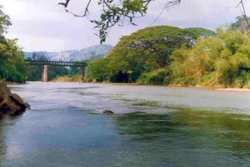 மகாவலி ஆற்றில் விழுந்தவர் மாயம்