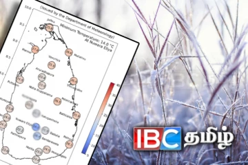 நுவரெலியாவின் பொழிந்த உறைபனி!