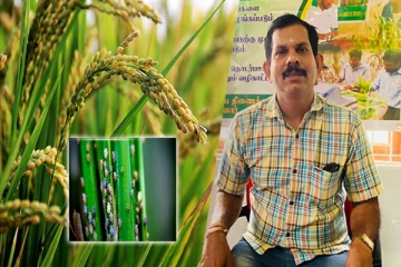 வட மாகாண பயிர்ச்செய்கை பாதிப்பு: மன்னாரில் விசேட கலந்துரையாடல்