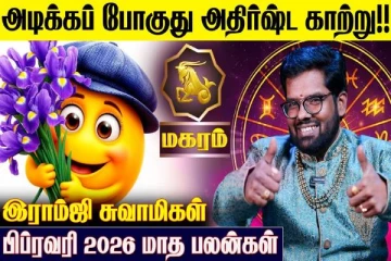 பிப்ரவரி மாத ராசிபலன்.., மகர ராசிக்கு எப்படி இருக்கும்?