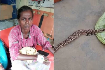 கடித்த கட்டுவிரியன்; கையோடு மருத்துவமனைக்கு கொண்டுவந்த பெண் - உறைந்த ஊழியர்கள்!