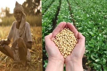 விவசாயிகளின் முழுப் பயிர்களையும் கொள்வனவு செய்ய உணவு ஊக்குவிப்புச் சபை தீர்மானம்