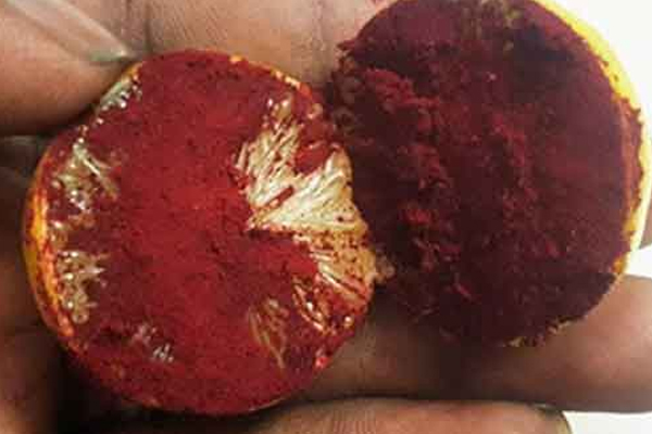 எலுமிச்சை பழத்தை வீட்டு வாசலில் வைப்பதால் திருஷ்டி நீங்குமா? | Lemons At Door Of The House Get Rid Of Bad Luck