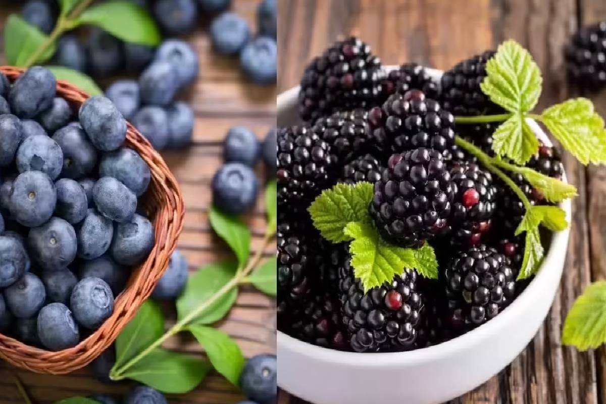 நீரிழிவு நோயாளிகள் எந்த பழங்களை சாப்பிடலாம்? | Which Fruits Can Diabetic Patient Eat