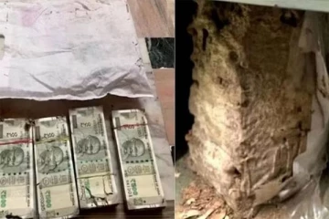 கரையான் அரித்த 18 லட்சம் பணம்... வங்கி Locker இல் நடந்த அதிர்ச்சி!