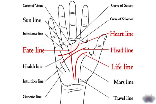 சீக்கிரம் இறக்க போவதை கைரேகை எப்படி இருக்கும் தெரியுமா?