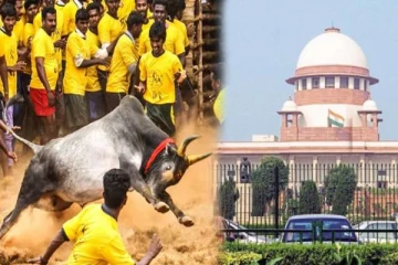 ஜல்லிக்கட்டு வழக்கு நவ.29ம் தேதிக்கு ஒத்திவைப்பு