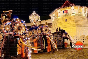 ඉදිරියේදී පෙරහැරට ඇත්ත අලි නෑ? - ඒ වෙනුවට රොබෝ අලි මෙන්න විස්තරය