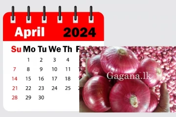 ලබන අප්‍රේල් මාසයේ රටටම සතුටුදායක ආරංචියක්.. තව සති 02කකින් ළුෑණු මිලත් අඩුවෙයි..