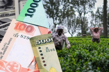 ஒரு நாளைக்கு ஆயிரம் ரூபா : சிக்கித் தவிக்கும் தமிழ் சமூகம்