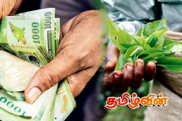 2000 ரூபா அடிப்படை சம்பளம் பட்ஜட்டில் அறிவிக்கப்பட வேண்டும்: அநுரவிடம் கோரிக்கை