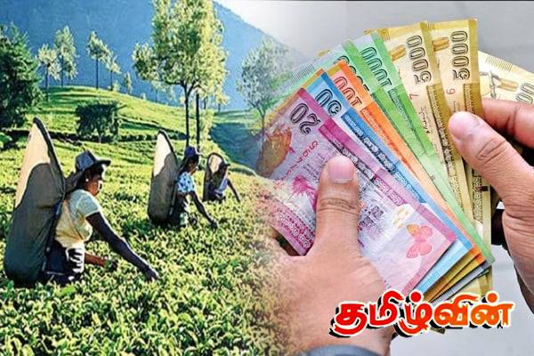 மலையகம் முட்டாள்களை அனுப்பியுள்ளது.. சபையில் அர்ச்சுனாவின் சவால் | Upcountry People Salary Hike Archuna Mp Speech மலையகம் முட்டாள்களை அனுப்பியுள்ளது.. சபையில் அர்ச்சுனாவின் சவால் | Upcountry People Salary Hike Archuna Mp Speech