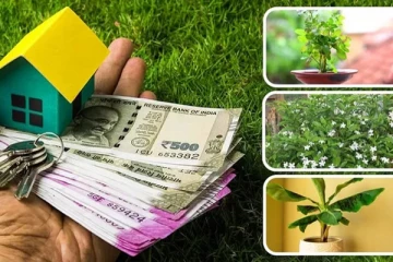 செல்வம் பெருகிட வீட்டில் வளர்க்க வேண்டிய பூக்கள்