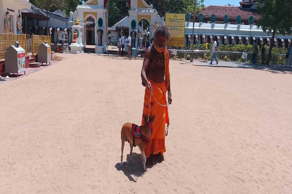 கதிர்காமம் சென்றடைந்தது சுப்பிரமணியம் | Subramaniam The Dog Reached Kataragama கதிர்காமம் சென்றடைந்தது சுப்பிரமணியம் | Subramaniam The Dog Reached Kataragama