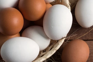 இந்தியாவில் இருந்து 3 கோடி முட்டைகள் இறக்குமதி!