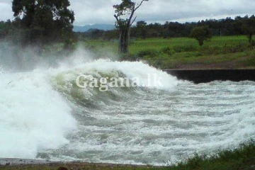 කුකුලේ ගඟ ජලාශයේ වාන් දොරටු විවෘත කෙරේ...