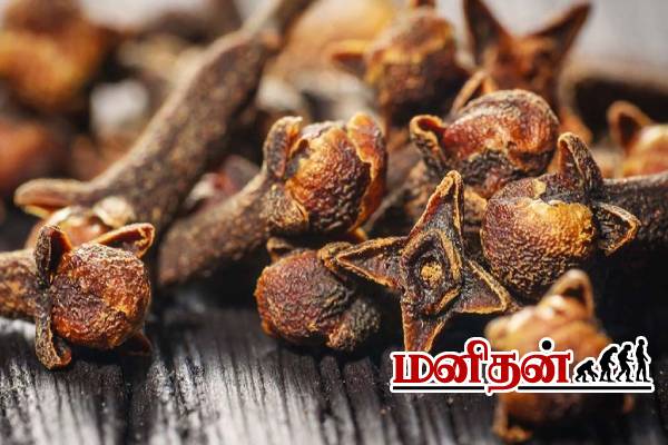 கிராம்பு சாப்பிடும் முன் கவனம்! சிலருக்கு இது விஷம் ஆகலாம்- மருத்துவர் எச்சரிக்கை | Who Should Avoid Cloves In Tamil