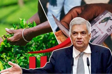 பெருந்தோட்டத் தொழிலாளர்களின் சம்பள விவகாரம்: மீண்டும் இன்று கூடவுள்ள சம்பள நிர்ணய சபை