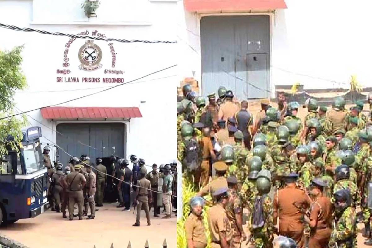 இலங்கை சிறைச்சாலை மோதலில் 25 பேர் உயிரிழப்பு | Negombo Prison Clash Death Toll Rise To 25 இலங்கை சிறைச்சாலை மோதலில் 25 பேர் உயிரிழப்பு | Negombo Prison Clash Death Toll Rise To 25