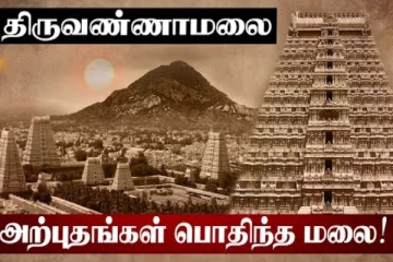 ஆன்மீகத்தில் மூழ்கியிருக்கும் திருவண்ணாமலை - சிறப்பும்,பெருமையும் தெரிஞ்சுப்போம்!