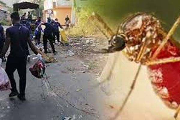 பருத்தித்துறையில் பலருக்கு எதிராக வழக்கு தாக்கல் | Dengue Prevalence In Sri Lanka பருத்தித்துறையில் பலருக்கு எதிராக வழக்கு தாக்கல் | Dengue Prevalence In Sri Lanka