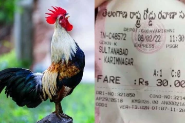 பேருந்தில் பயணித்த சேவல்: கட்டணம் வசூலித்த நடத்துனர்! வைரல் காணொளி இதோ