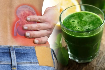 சிறுநீரக கல் கரைந்து சிறுநீர் வழியாக வெளியேறனுமா? இந்த மூலிகைசாற்றை தொடர்ந்து குடிங்க!