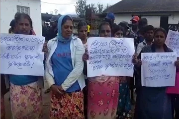 தனியார் மயமாக்கப்படும் என்.எல்.டி தேசிய பண்ணை: மக்கள் வெளியிட்டுள்ள எதிர்ப்பு