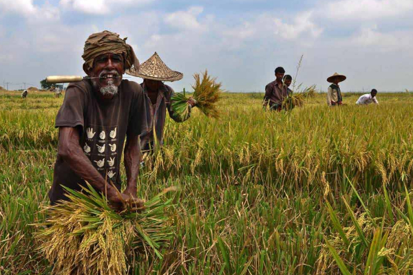 புறக்கணிக்கப்படும் கிளிநொச்சி மாவட்ட விவசாயிகளுக்கு உரிய தீர்வைப் பெற்றுக்கொடுங்கள் - சிவஞானம் சிறீதரன் | Left Out Agricultural Assistance Programme