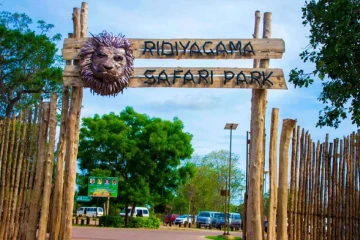 දියගම සෆාරි උද්‍යානයේ සමනල උද්‍යානයේ අපූරු වෙනසක්