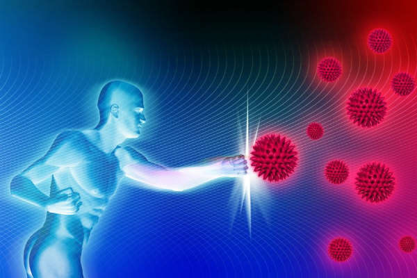 அதிகளவு ஆரோக்கிய நன்மைகளைக் கொண்ட வெந்தயம் பற்றிய தகவல்கள் | Facts About Fenugreek That You Didnt Know அதிகளவு ஆரோக்கிய நன்மைகளைக் கொண்ட வெந்தயம் பற்றிய தகவல்கள் | Facts About Fenugreek That You Didnt Know