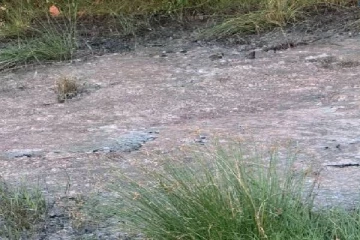 யாழ். காக்கைதீவில் கொட்டப்படும் கழிவுகளால் பெரும் சிரமத்தை எதிர்நோக்கும் மக்கள்