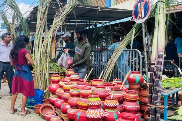 யாழில் களை கட்டும் பொங்கல் வியாபாரம் ; குவிந்த மக்கள் | Thai Pongal Business Is Booming In Jaffna