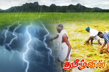 வடக்கு - கிழக்கில் அறுவடைக்கு தயாராகியுள்ள விவசாயிகளுக்கு முக்கிய அறிவிப்பு!