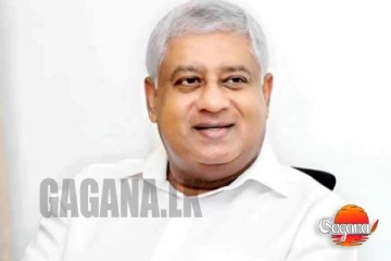 හිටපු මහජන ආරක්ෂක ඇමති ටිරාන්ට ඩුබායි සිට මරණ තර්ජන