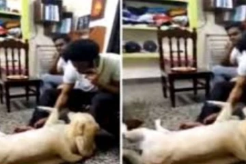 பிக் பாஸ் நிகழ்ச்சிக்குப் பிறகு தனது செல்ல நாய்க்குட்டியை கொஞ்சி விளையாடும் சோம்! தீயாய் பரவும் வீடியோ