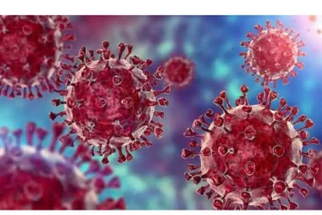 இந்தியாவில் ஒமைக்ரான் வைரஸ் பரவல் பிப்ரவரி இறுதியில் உச்சத்தை அடையும் - நிபுணர்கள் எச்சரிக்கை