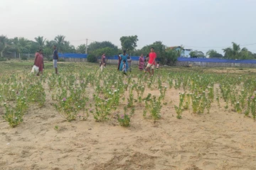 முள்ளிவாய்க்கால் துயிலும் இல்லத்தில் மாவீரர்களுக்கு வணக்கம் செலுத்த அழைப்பு!(Photos)